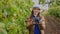 young woman winemaker with hat shows a heap of red grapes and looking at camera.