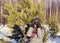 Young woman in winter clothes looking through binoculars in winter snowy pine forest. Birdwatching