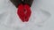 Young woman in winter knitted woolen mittens sculpts a heart out of snow. Valentine gift concept. Expression of emotions