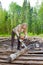 The young woman in wood saws a tree a chain saw