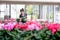 Young Woman Working As Florist In Flower Shop