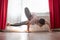 Young woman working out indoors, doing yoga exercise handstand asana