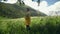 A young woman in a yellow raincoat stands in a meadow with a bouquet of flowers and enjoys the scenery in mountainous