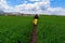 A young woman in a yellow skirt and a leather jacket walks with a backpack along the path in the field