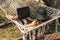 Young woman in yellow swimsuit and hat lying in hammock with laptop, work on vacation, freelance, remote work, online earnings