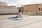 Young woman in a yoga upward facing dog pose