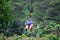 Young woman on zipline above the jungle