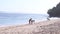 Young Women finding shells on the beach. Ocean. Bali, Indonesia.