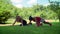 Young women rest after push ups exercise outdoor