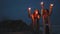 Young women with sparklers against the night shore