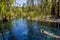 young women is swiming in mataranka hot springs in waterhouse river, mataranka, northern territory, australia