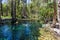 Young women is swiming in mataranka hot springs in waterhouse river, mataranka, northern territory, australia