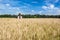 Young women walking through a Golden weed field. Argentina countryside.