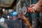 Young workers use metal grinders Steel parts of a motorbike To design and modify Beautiful orange sparkle from metal grinding