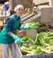 Young workwoman loading green onions from conveyor belt into box