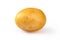 Young yellow potato, isolated on white. Close up