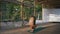 Young Yogi Performs Suryanamaskar Practice on Wooden Pomo in Rano City Park In the morning