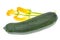 Young zucchini on white background