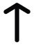 Younger Futhark Rune Letter of Tiwaz