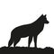 Younger wolf side view silhouette on white background