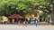 Youngsters playing cricket in the village square - Fort galle Sri lanka