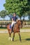 Yount girl riding a horse in a green meadow, The Netherlands