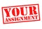 YOUR ASSIGNMENT