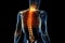 When Your Back is Aching: Understanding and Coping with Back Pain. Generative Ai