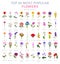Your garden guide. Top 50 most popular flowers infographic