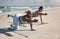 Your muscles get a workout while your brain gets a break. two young women practicing yoga on the beach.