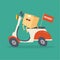 Your package rushes to you on the courier scooter. Vector graphics