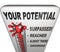 Your Potential Measured Will You Reach Your Full Success