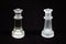 Your Queen has opposites. Icy Queen chess pieces on a black background