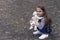 Youre my friend. Small girl play with toy dog outdoors. Little child enjoy friendship. Childhood friendship. Developing