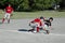 Youth Baseball Action