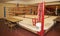 Youth Boxing ring
