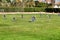 Youth soccer match in Elche on a sunny day