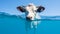 Youthful Energy: A Cow Swimming Underwater In Light Blue Waters