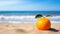 Youthful Energy: Vibrant Tangerine On A Sandy Beach