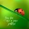 Yoy too are a rare pattern - vector background with quote and realistic ladybug insect on a blurred green. EPS10.