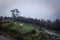 Yuanyang Rice Terraces and Fields - Chinese Landscapes