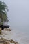 Yucatan\\\'s Silent Embrace: Enigmatic Fog Envelops Peninsula, Lone Coconut Tree in Secluded Shoreline Solitude