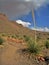 Yucca along Rockhound State Park Hiking Trail