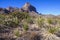 Yucca and cacti against the backdrop of the mountain landscape in Big Bend National Park in Texas.