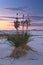 Yucca plant during sunset in the White Sand Dunes