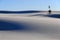 Yucca in the White Sands Dune