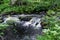 Yukankoski waterfall also known as White bridges on the river Kulismayoki