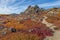 Yukon arctic tundra in fall colors