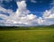 Yukon nature scenery with grass