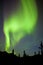 Yukon taiga spruce Northern Lights Aurora borealis